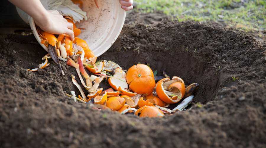 photo d'un tas de composteur de jardin