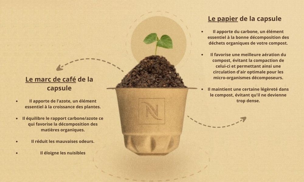 Capsule compostable, explication des actions bénéfiques du marc de café et du papier pour le compost