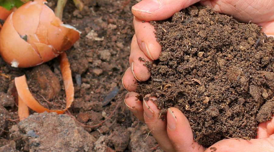 Photographie d'un compost mature illustrant comment faire du compost.