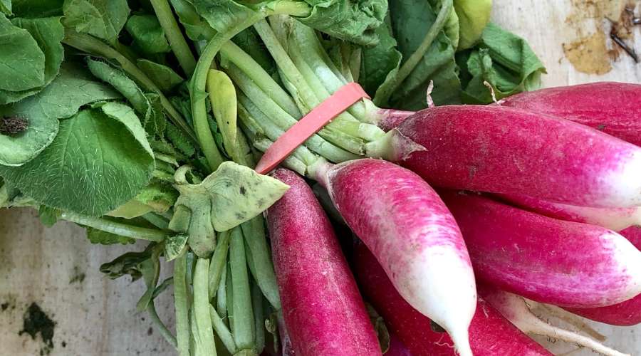 Fin de l'emballage plastique pour les fruits et légumes mais tolérance pour les élastiques des bottes de radis.