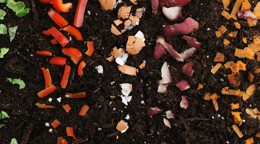 Photographie illustrant les matières organiques en cours de dégradation dans un tas de compost permettant de faire son compostage chez soi.