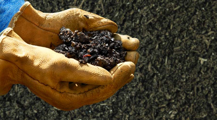 Photographie de la technique du gant permettant de savoir quand arroser le compost.