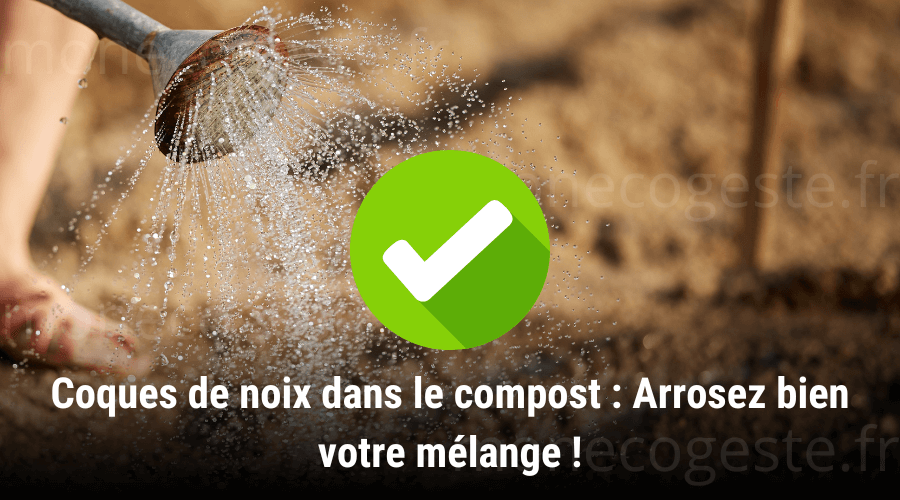 Montage photo illustrant l'importance d'arroser le compost après l'ajout des coques de noix.