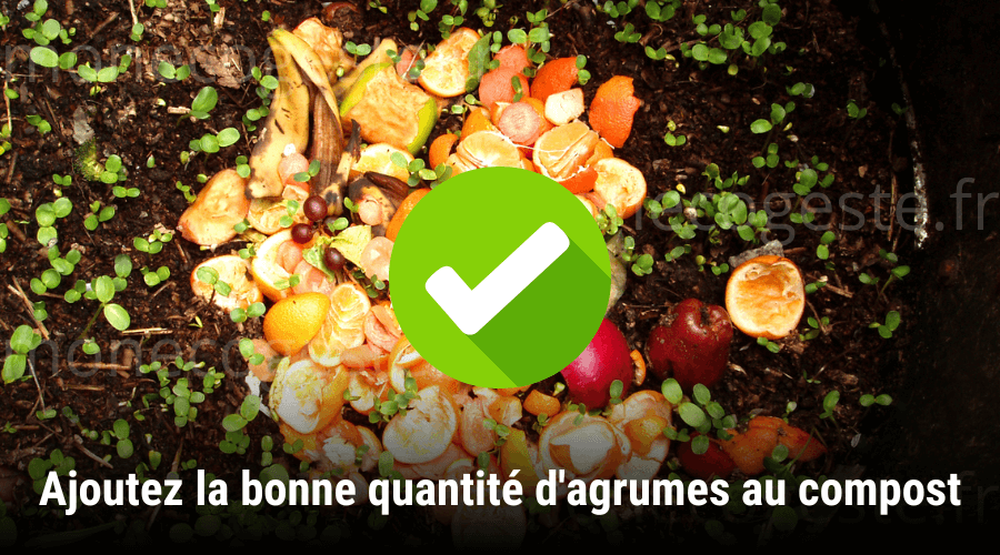 Montage photographique illustrant le troisième conseil pour composter des agrumes : trouver la bonne quantité d'agrumes à ajouter au compost.