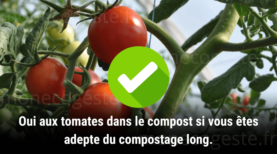 Montage illustrant la recommandation numéro trois pour ajouter des tomates et des restes de tomates au compost. Oui à cet ajout si un compostage plus long ne vous gênes pas.