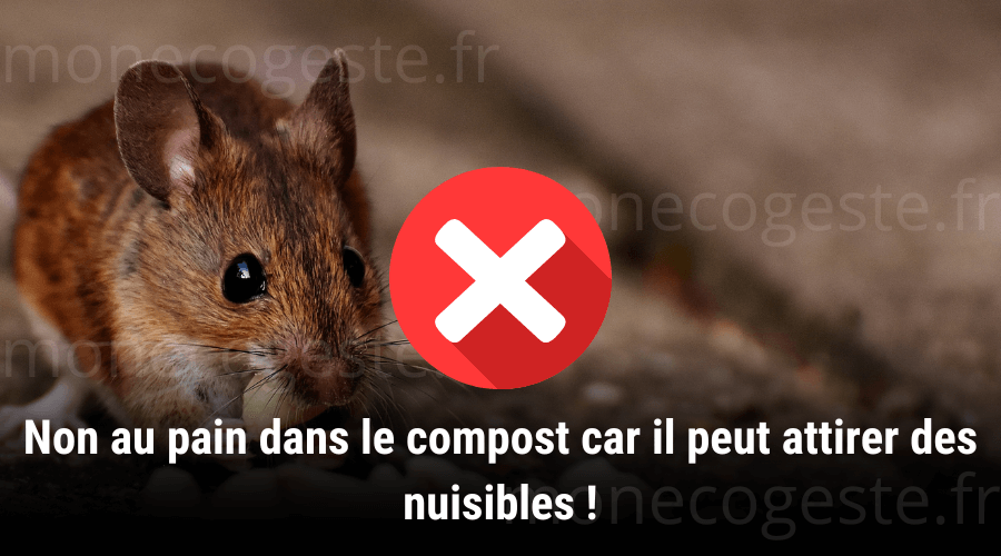 Photomontage illustrant que l'ajout de pain dans le compost peut attirer des animaux nuisibles, mettant en garde contre les risques potentiels pour votre compost.