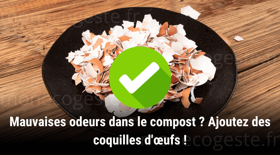 Illustration d'un composteur avec des coquilles d'œufs, présentant une solution efficace pour réduire et éliminer les mauvaises odeurs en régulant le pH du mélange.