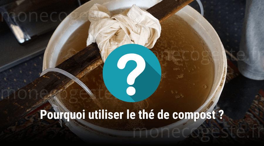Image illustrant la préparation du thé de compost dans un seau, en extrayant les nutriments essentiels à partir d’un compost bien mûr.