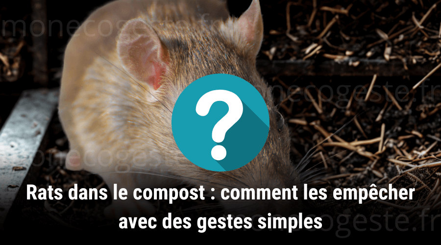 Photomontage illustrant les gestes simples à adopter pour éviter la présence de rats dans votre compost, extrait de notre article dédié.